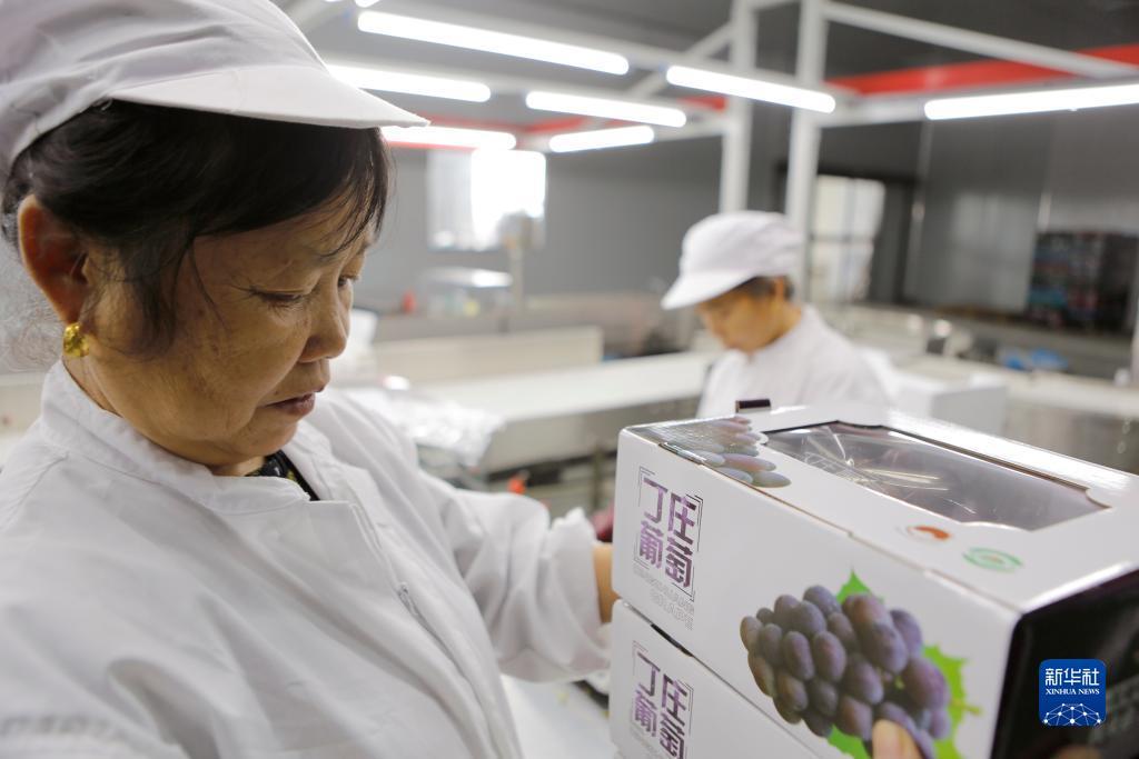 水果狂欢九线机可提现